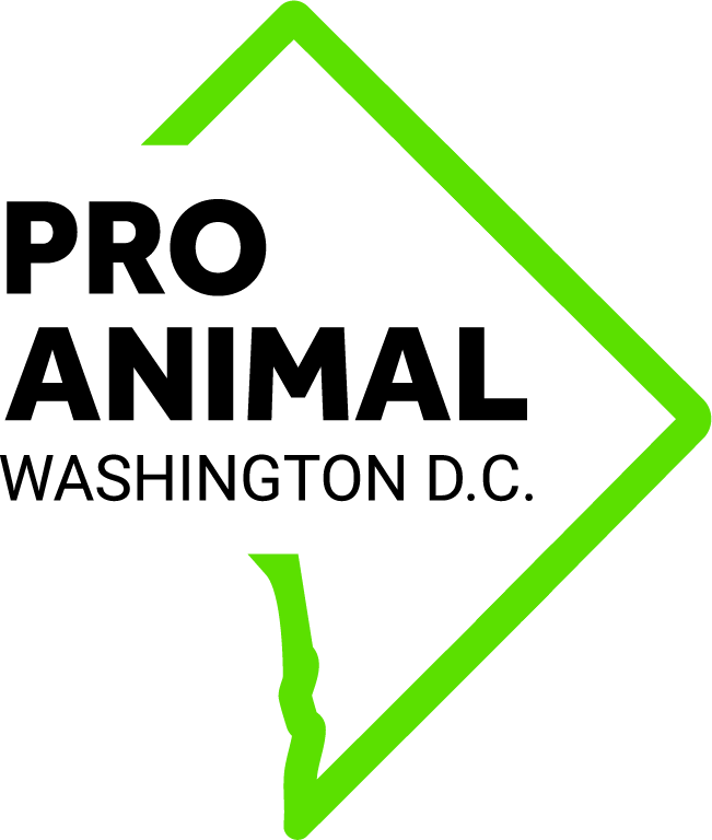 DC